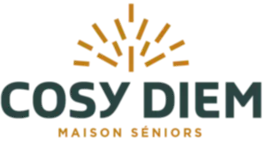 2S Confort - Chauffage, Climatisation & Entretien : votre confort durable à Carcassonne | Cosy Diem