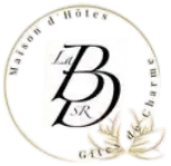 2S Confort - Chauffage, Climatisation & Entretien : votre confort durable à Carcassonne | La Belle Dame Sans Regrets – Gîte Talairan